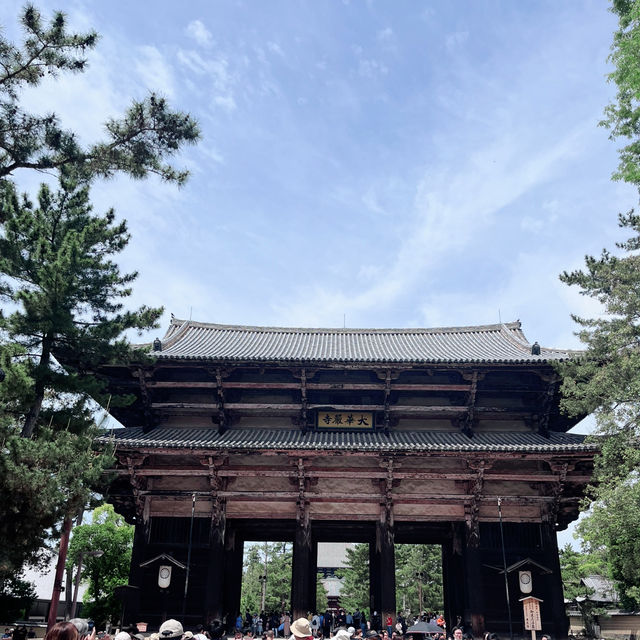 Meeting the Great Buddha: Todaiji