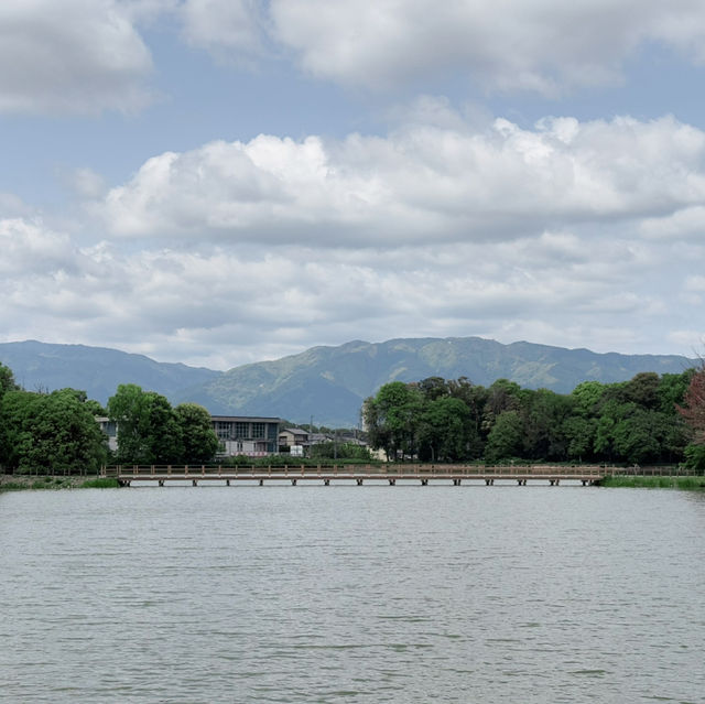 Lush Reflections: Fukada Pond