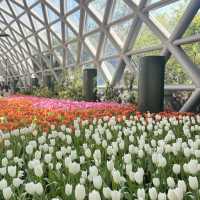 Miracle of Natural ระยอง