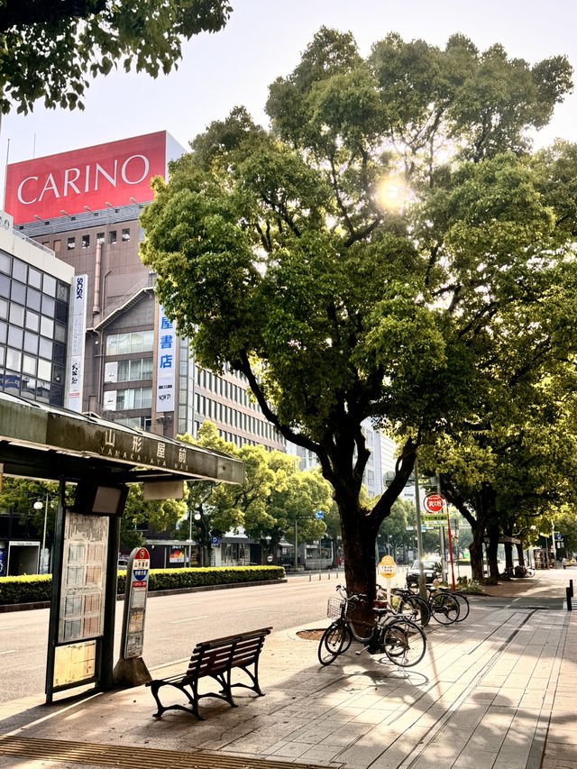 宮崎市區與空港