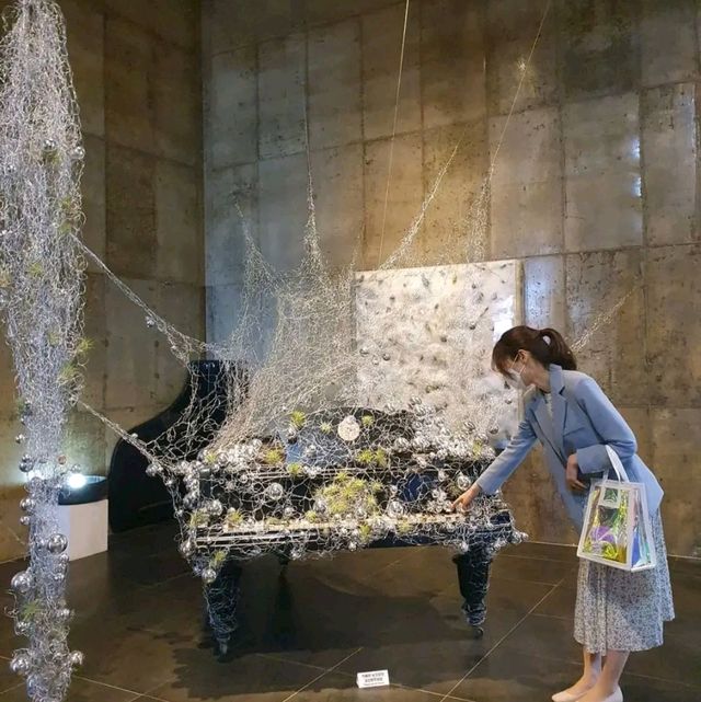 Where Art Meets the Sea – Haslla Art World, Gangneung