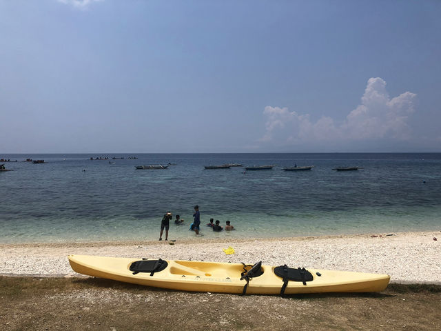 【オスロブ｜セブ島】  “目の前にジンベエザメ。” それも1匹じゃない。海に入った瞬間、心が震える。