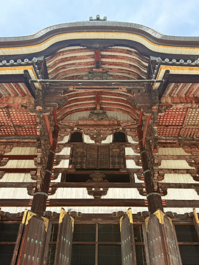 奈良｜5層樓高莊嚴大佛 到聖武天皇蓋的東大寺感受千年歷史