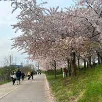 Langelinie Park — Copenhagen, Denmark