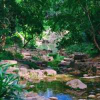 ​滿庭芳郊野花園 - 綠油油的世界