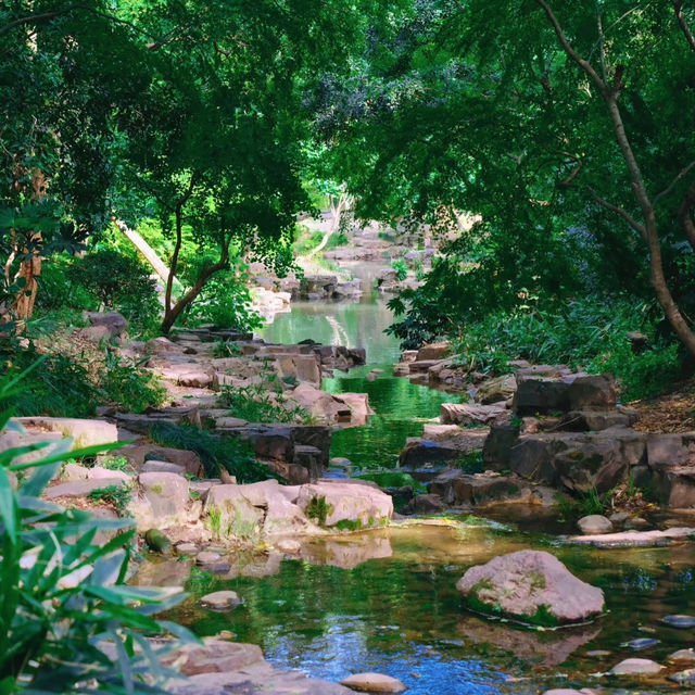 ​滿庭芳郊野花園 - 綠油油的世界