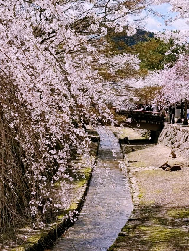 Himeji Castle