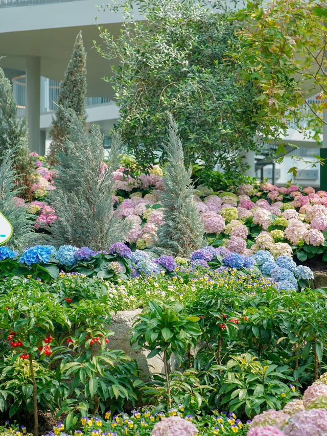 📍: Miracle of Natural🌷โครงการ PTT LN