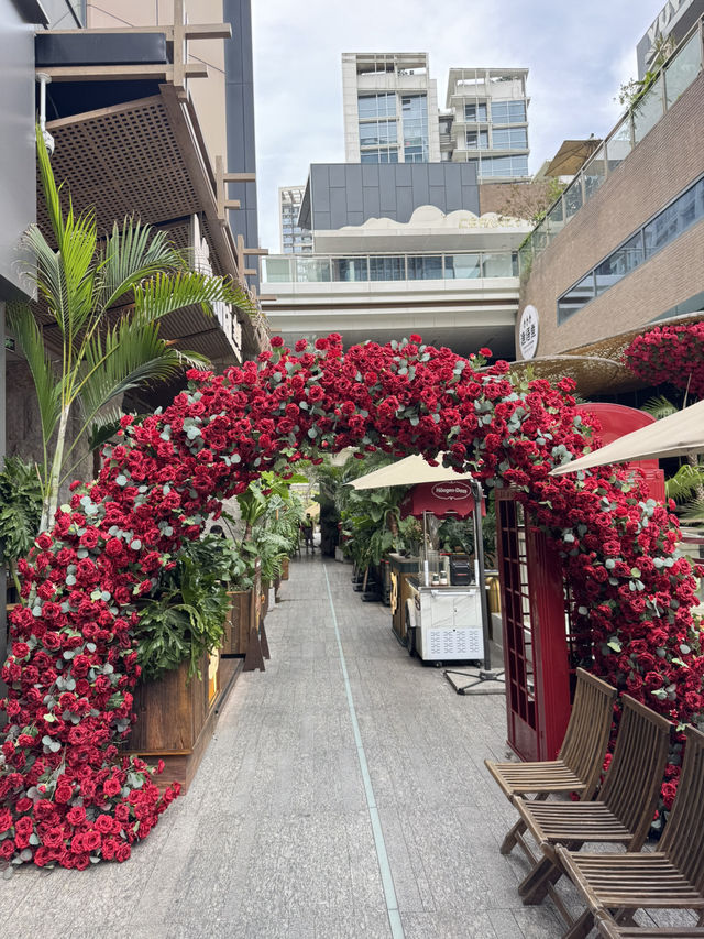 【深圳】 紅山站區一日遊，個商業區拍得住Cocopark