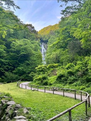 Wild Views and Spring Feels
