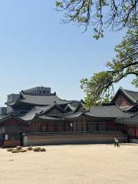 Wearing Hanbok Walk Around Gyeongbokgung Palace😍