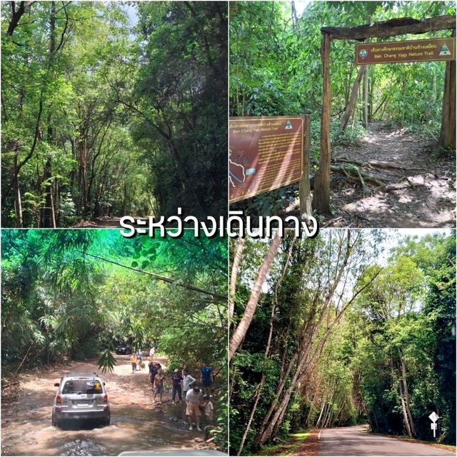 แพลนเที่ยวเขาพะเนินทุ่ง 1 คืน 