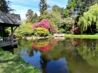 Exploring the Enchanted Beauty of Bodnant Garden, NT – North Wales