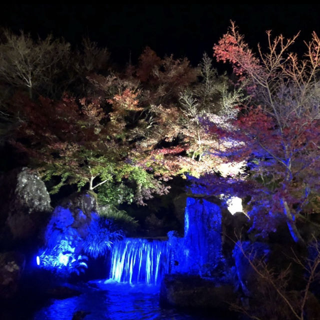 耶馬溪ダム記念公園 溪石園
