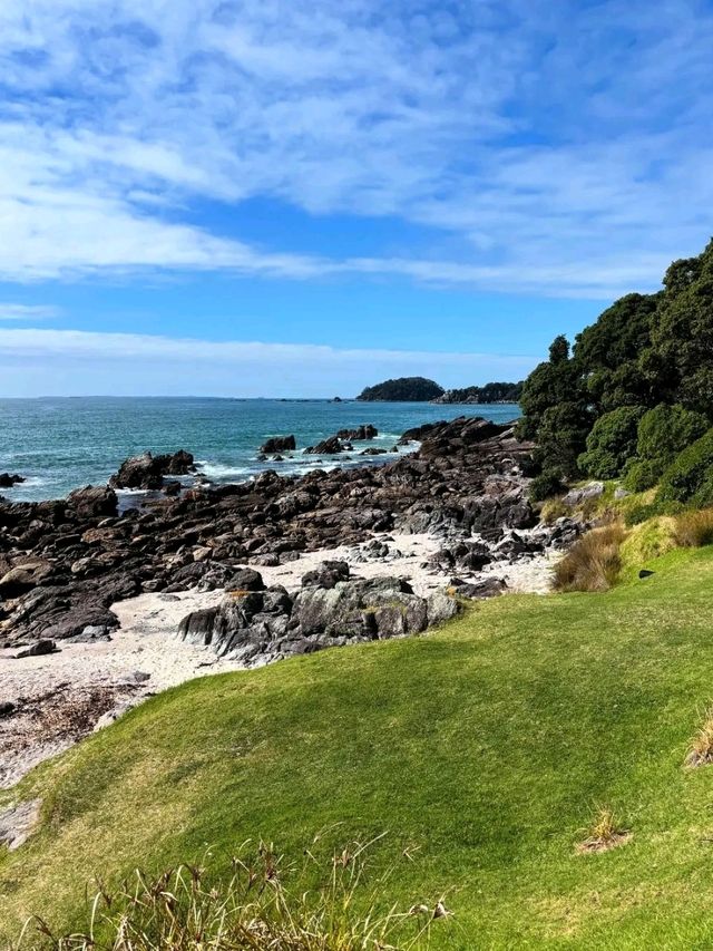 Tauranga – Where Coastal Charm Meets Adventure