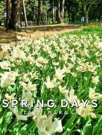 A PEACEFUL SPRING GETAWAY IN THE EASTERN KANTO REGION
