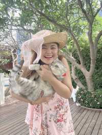 เที่ยวหัวหินพาน้องแมวพักโรงแรม PetFriendly 