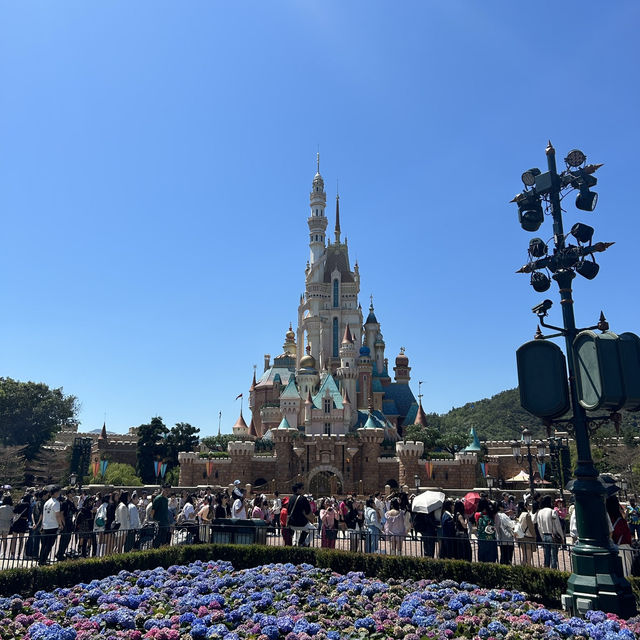 【香港🇭🇰】夜景とグルメ、ディズニーを楽しむ3日間