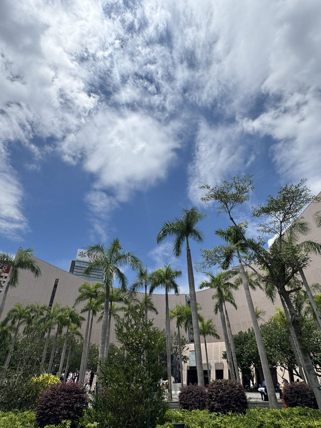 香港｜端午節尖沙咀｜海濱龍舟與城市節拍