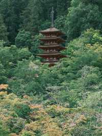 Hasedera Temple – Kamakura