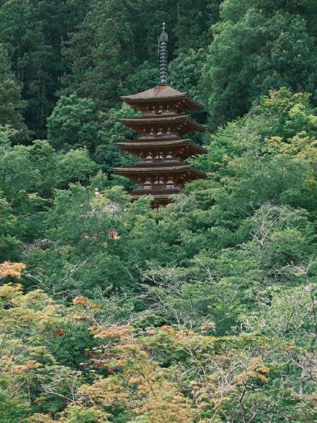 Hasedera Temple – Kamakura