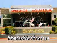 พิพิธภัณฑ์สัตว์น้ำหว้ากอ แหล่งเรียนรู้ทางทะเลใต้