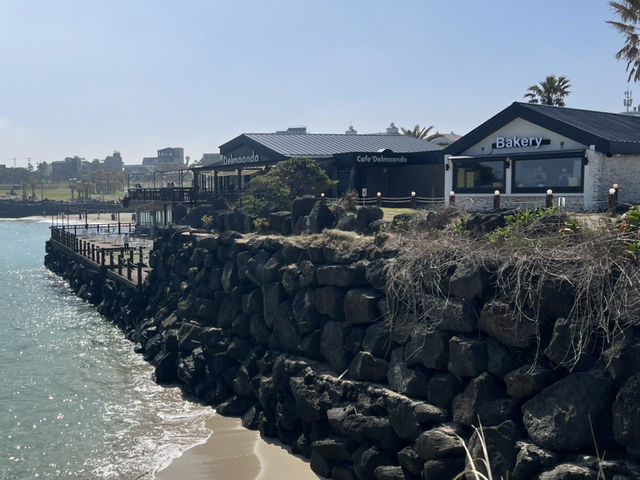 제주도 카페 투어 여행