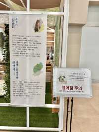 🇰🇷文青控必去！光州亞洲文化殿堂 ACC｜Library Park 一秒愛上嘅寧靜空間