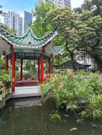 Hollywood Road Park 🏞️
