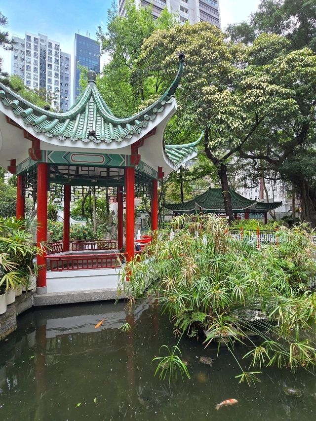 Hollywood Road Park 🏞️