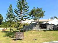 Skugga Estate Cafe เชียงใหม่