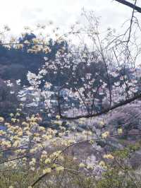 東京巴士遊東北：福島也有桃源鄉 