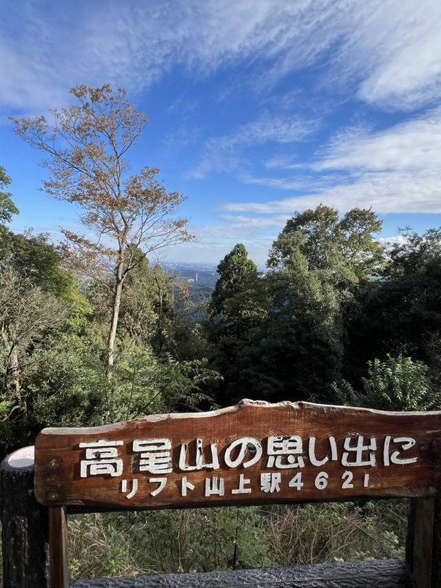 Mount Takao: A Refreshing Escape for Beginners