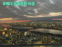 우메다 안유명한 맛집, 우메다 공중정원 주의점, 7박8일 2인 총 경비