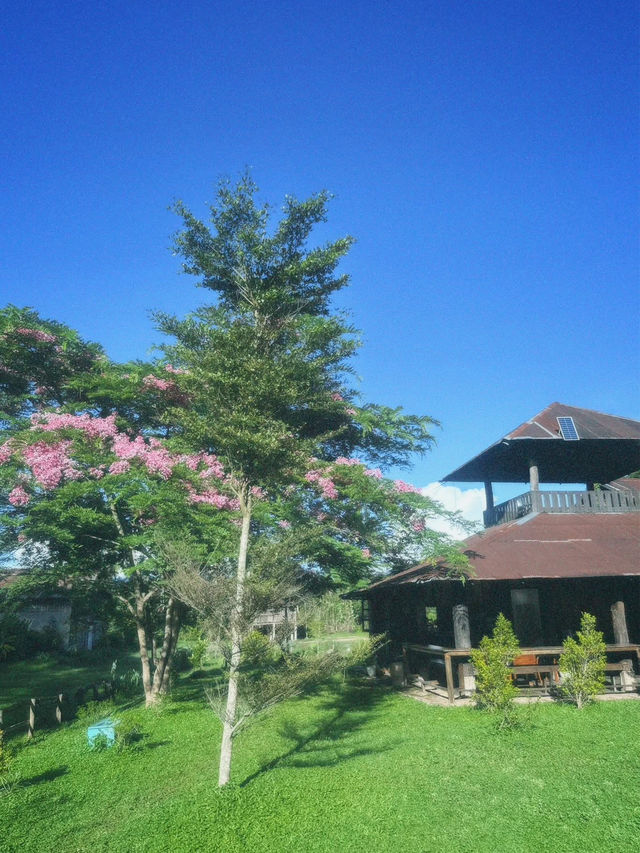 📍โรงบ่มริมน้ำน่าน hidden gem อีกแห่งของน่าน
