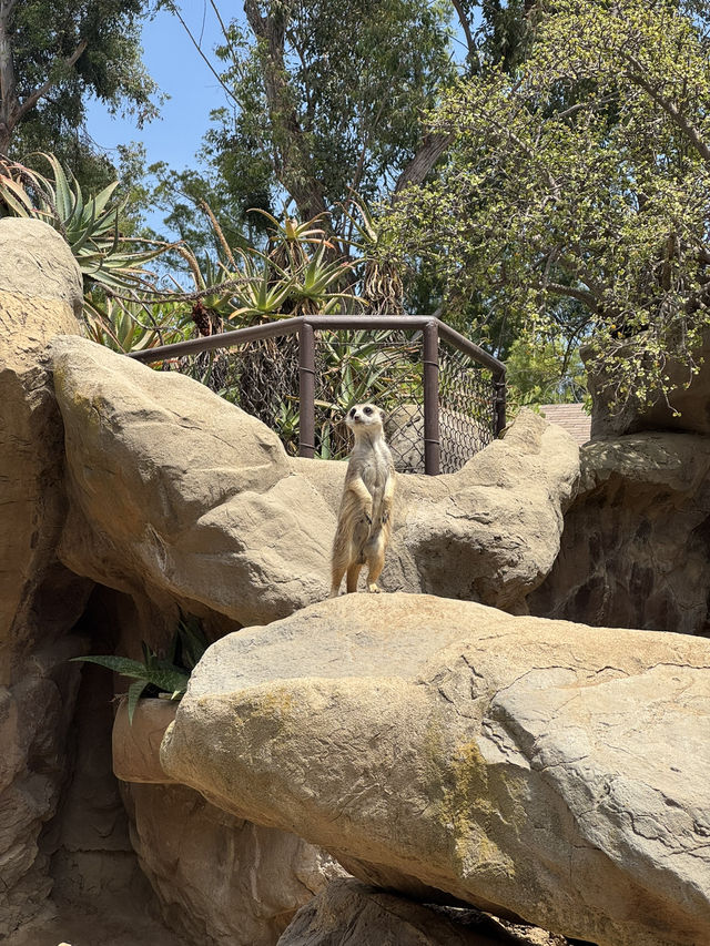 ロサンゼルス9日間の旅 写真映えルート