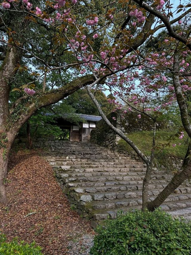 Spring Stroll with a Side of History