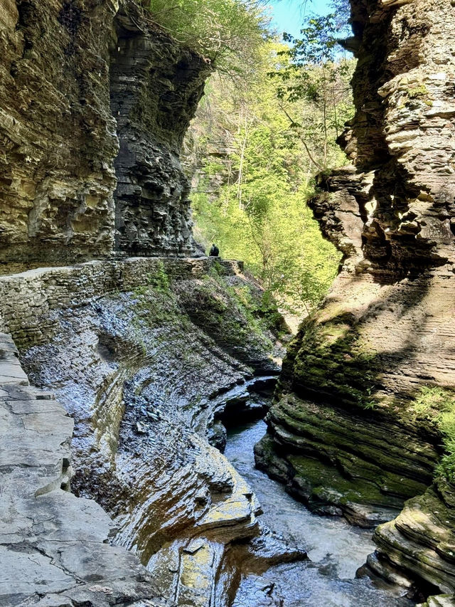 Watkins Glen State Park