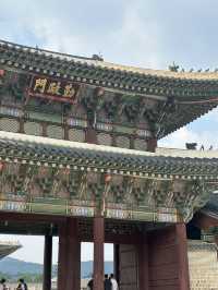 🏯 시간을 거슬러 걷는 하루, 경복궁🤍