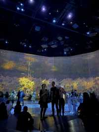Teamlab Borderless Tokyo