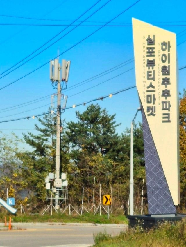 삼척가을단풍뷰관광지🍁하이원추추파크