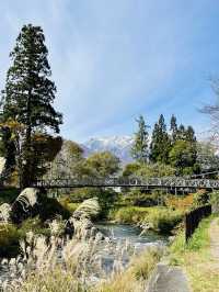 The Oide Park