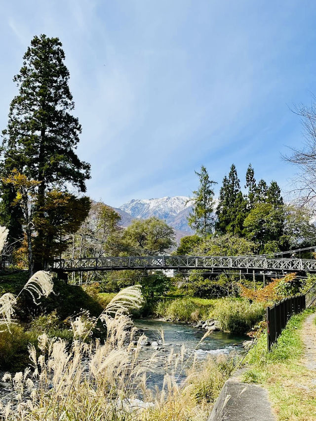 The Oide Park