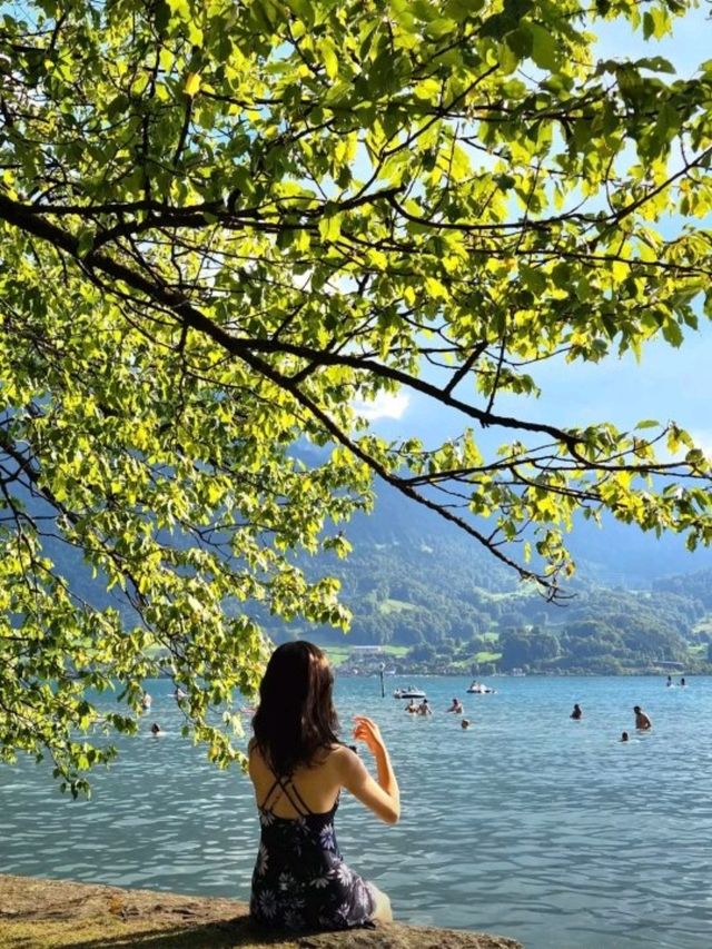 여름에 꼭 가야 하는 스위스🇨🇭