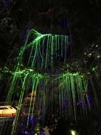 Where Twilight Transforms Trees: Penang’s Avatar Secret Garden 