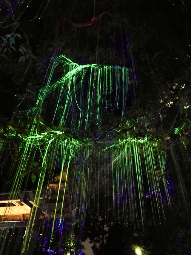 Where Twilight Transforms Trees: Penang’s Avatar Secret Garden 
