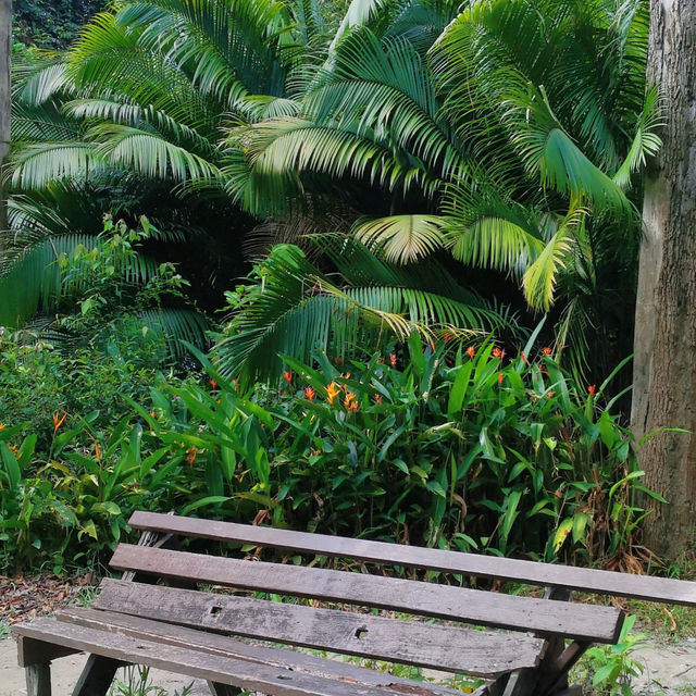 🥾 Bukit Kembara, Ampang – Hidden Hiking Gem in KL!