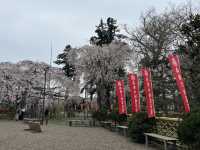 🌸【枝垂櫻與靜心古寺的邂逅】春日私藏景點：水戶大師六地藏寺一日小旅行