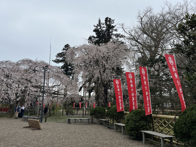 🌸【枝垂櫻與靜心古寺的邂逅】春日私藏景點：水戶大師六地藏寺一日小旅行