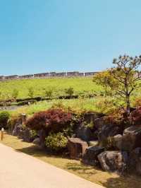 Heunginjimun: A Majestic Gateway Connecting Seoul's Past and Present